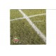 SK RAPID WIEN - St. Hanappi