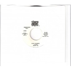 BOBBY VEE - Sayin´ goodbye                                           ***Promo***