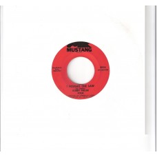 BOBBY FULLER FOUR - I foght the law
