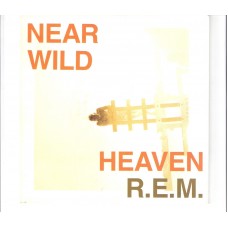 R.E.M. - Near wild heaven