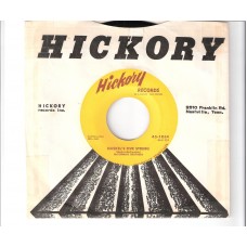 Mc CORMICK BROTHERS - Haskel´s five string