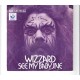 WIZZARD - See my baby jive