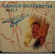 HAROLD FALTERMEYER - Axel F