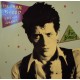 HERMAN BROOD & HIS WILD ROMANCE - The brood