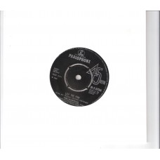 SCAFFOLD - Lily the pink