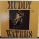 MUDDY WATERS - King Bee
