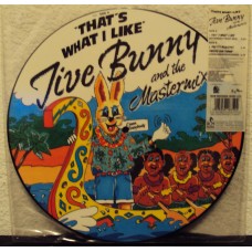 JIVE BUNNY & THE MASTERMIXERS - That´s what I like             ***Picture***
